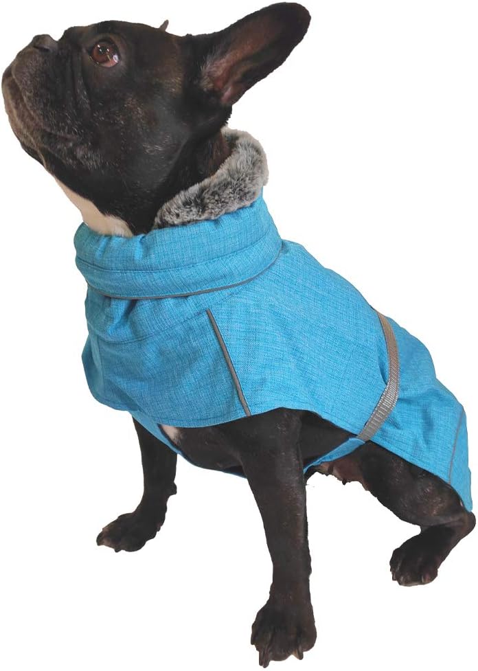 Croci Hiking Hundemantel, wasserdicht, für den Winter, Thermofutter, türkis, Grösse 30 cm - 182 g tü