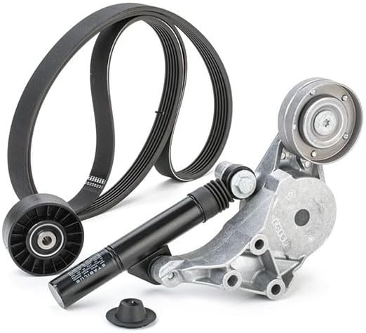 SKF VKMA31014 VKMA 31014 Spannrollensatz für Nebentrieb