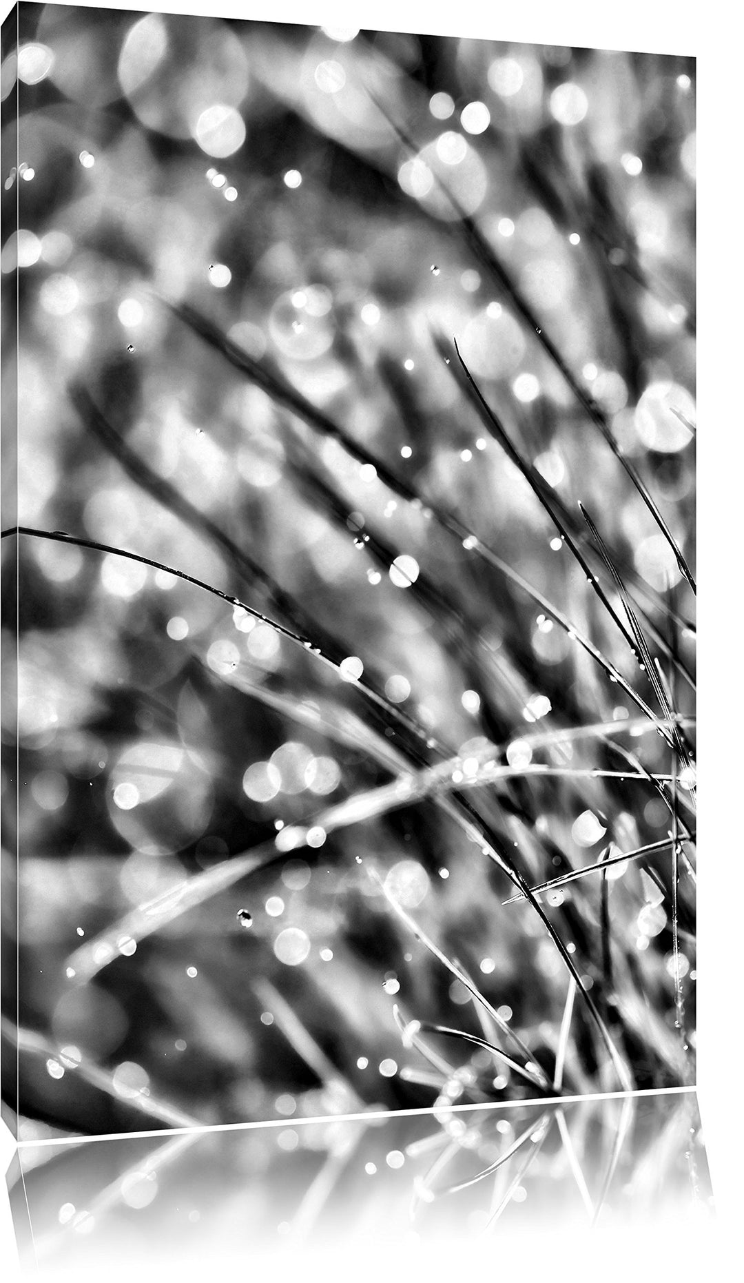 Monocrome, Nasses Gras, Format: 100x70 auf Leinwand, XXL riesige Bilder fertig gerahmt mit Keilrahme