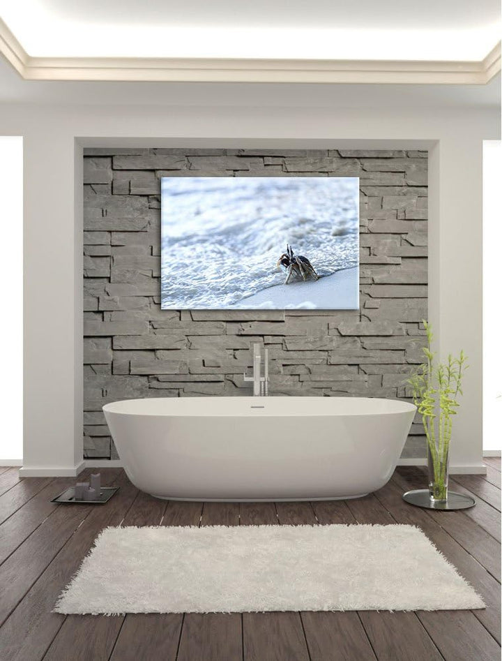 kleine Krabbe am Strand Leinwand, XXL riesige Bilder fertig gerahmt mit Keilrahmen, Kunstdruck auf W