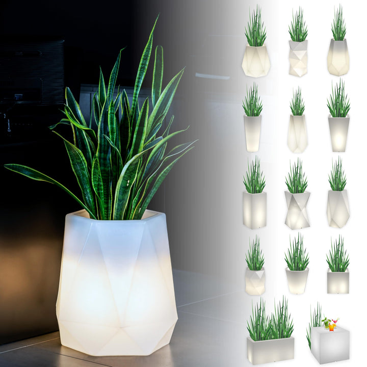 Monumo®️ Leuchtender Blumentopf Gross 54 cm x 47 cm x 47 cm | geeignet für Haus, Büro, Garten, Patio