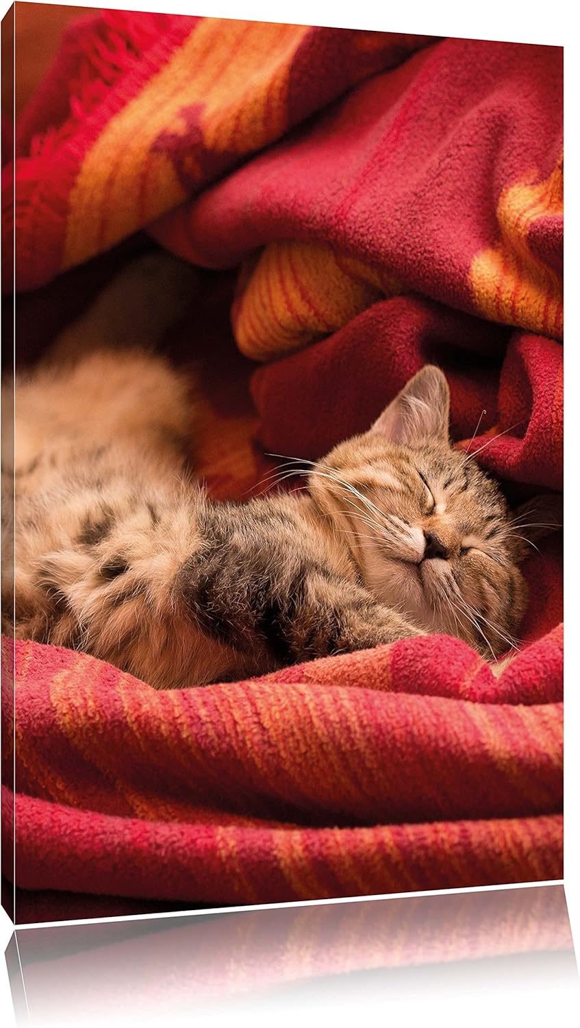 Pixxprint Babykatze, Format: 100x70 auf Leinwand, XXL riesige Bilder fertig gerahmt mit Keilrahmen,