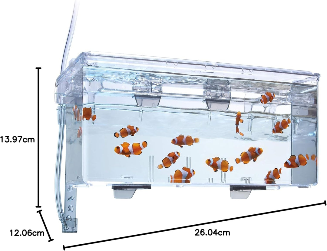 Fluval Hang-On Aufzuchtbecken L, mit 1,9L Fassungsvermögen, für Fische, fürs Aquarium 1,9 L, 1,9 L