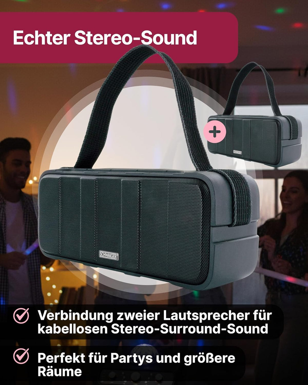 SCHWAIGER BS220 Bluetooth Lautsprecher Outdoor 30W Musikbox TWS tragbar stahlwasserfest robust IPX5