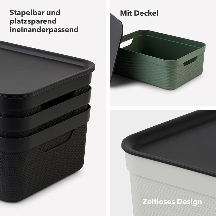 Rotho Jive 3er-Set Aufbewahrungsbox 10l mit Deckel Grün, Grün