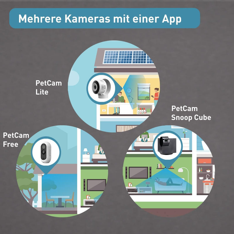 PetTec Hundekamera Set aus Cam 360° | Cam Lite & Cam Free, mit App ohne ABO-Falle, Sprachfunktion &