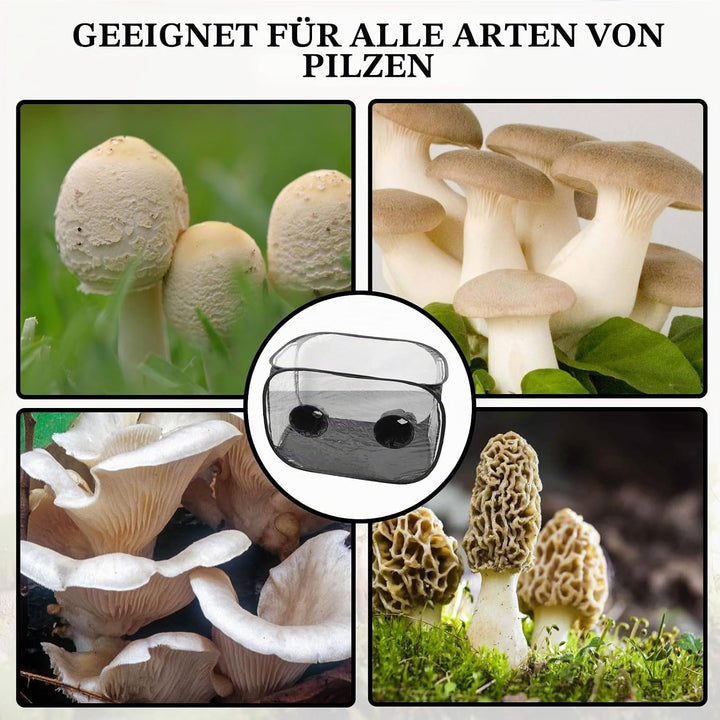 Pilzzuchtzelt, 90 * 60 * 60 cm Pilz Zucht Zelt Glovebox Pilzzucht Pilze Züchten Set Kompakte Pilzzuc