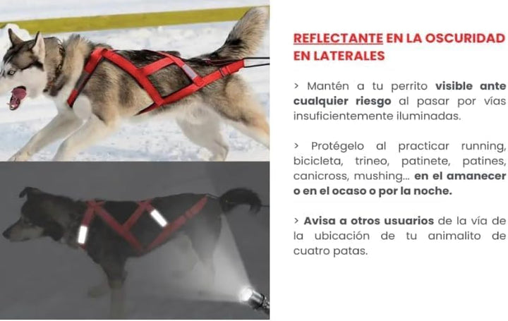 Total Sportgeschirr mit Hund, Laufen, Canicross, Schlitten, Mushing, Fahrrad, Roller... (M, Rot) M R