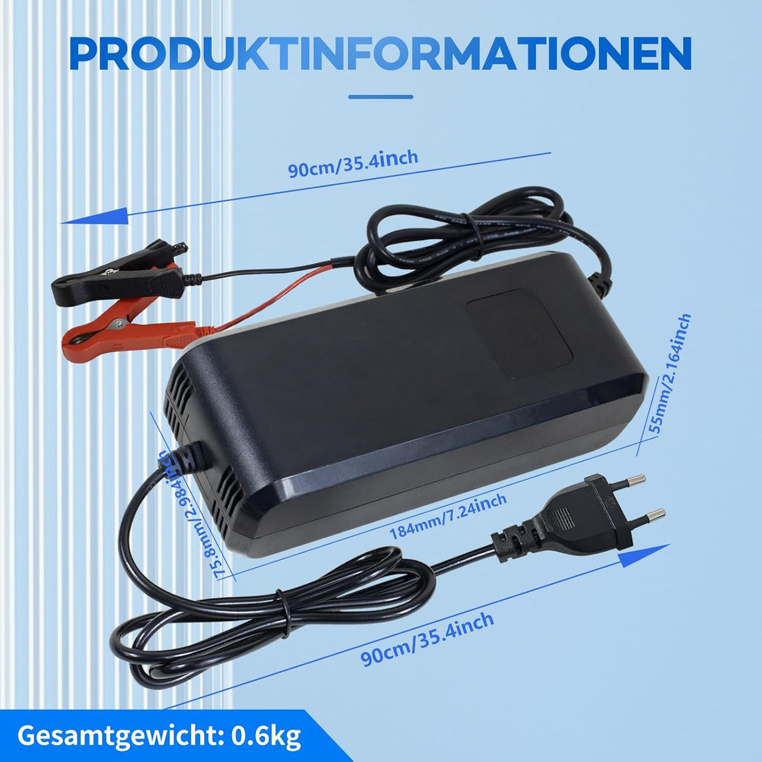 14.6V 10A LiFePO4 Lithium Batterie Ladegerät Maintainer für 12v/12.8v Deep Cycle Lithium Eisen Phosp