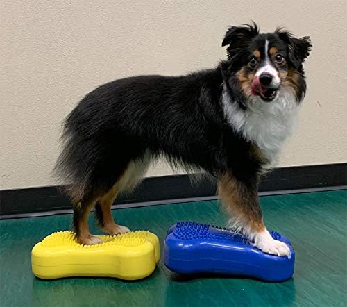 DOG Copenhagen Fitpaws Mini K9 Bone Instabilitätsscheibe für Propriozeption