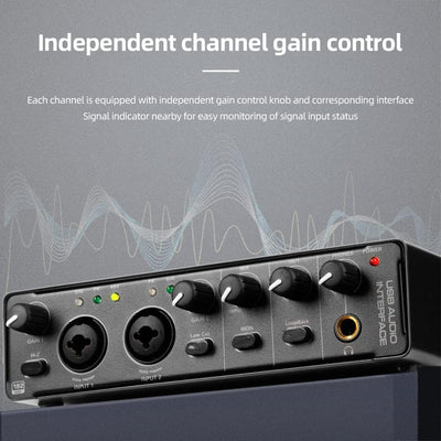 Depusheng RX2 USB Audio Interface Computer Aufnahme Soundkarte Audio Mixer Audio Interface für Home