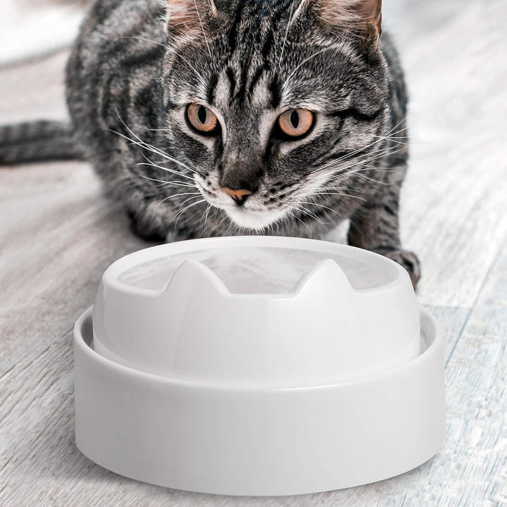 CatGuru Futtertisch für Katzennapf, rutschfeste Haustier-Futterstation für Katzenfutternäpfe, erhöht