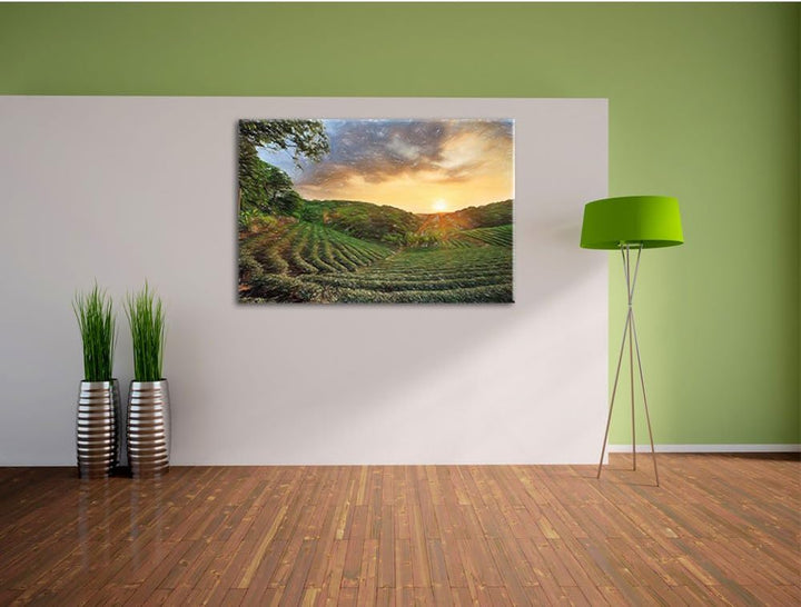 Pixxprint Teeplantage bei Sonnenuntergang / 100x70cm Leinwandbild bespannt auf Holzrahmen/Wandbild K