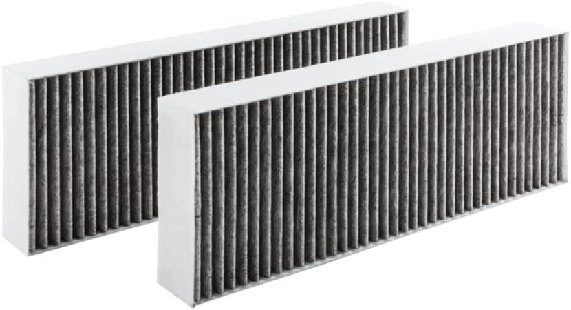 EVAYP / 2x Aktivkohlefilter / Ersatz für BORA BAKFS / Kompatibel für BORA Basic Dunstabzugshaube GP4
