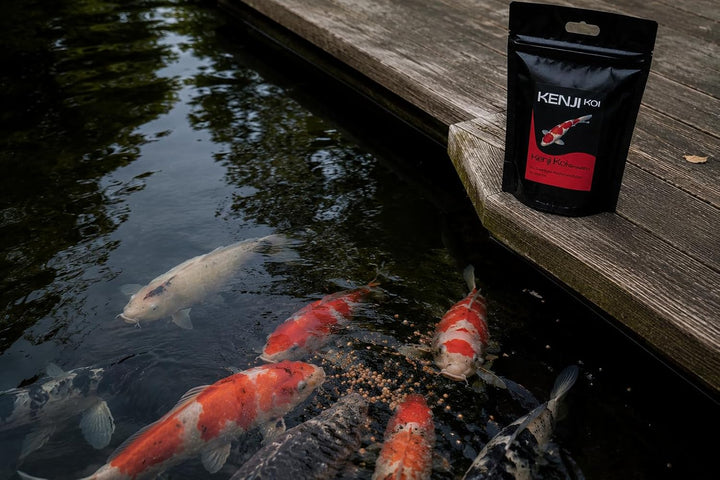 KENJI KOI Growth+ Koifutter 5kg 6mm Wachstumsfutter für den Koi | Schwimmendes Koifutter mit hochwer