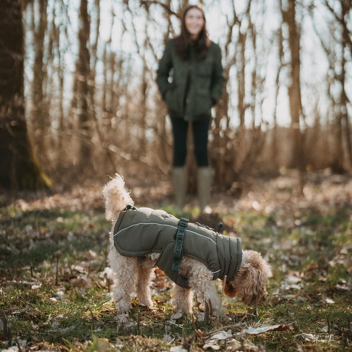 HUNTER Hundemantel Paxson, Farbe: Oliv, stylischer Puffermantel, wasserabweisend, reflektierende Det