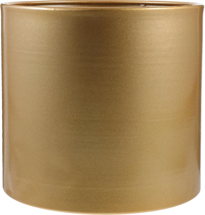 Eisen Pflanztopf Moderner Metall Dekorative Pflanzgefäss Metall Blumentopf mit Entwässerungsloch, Ru
