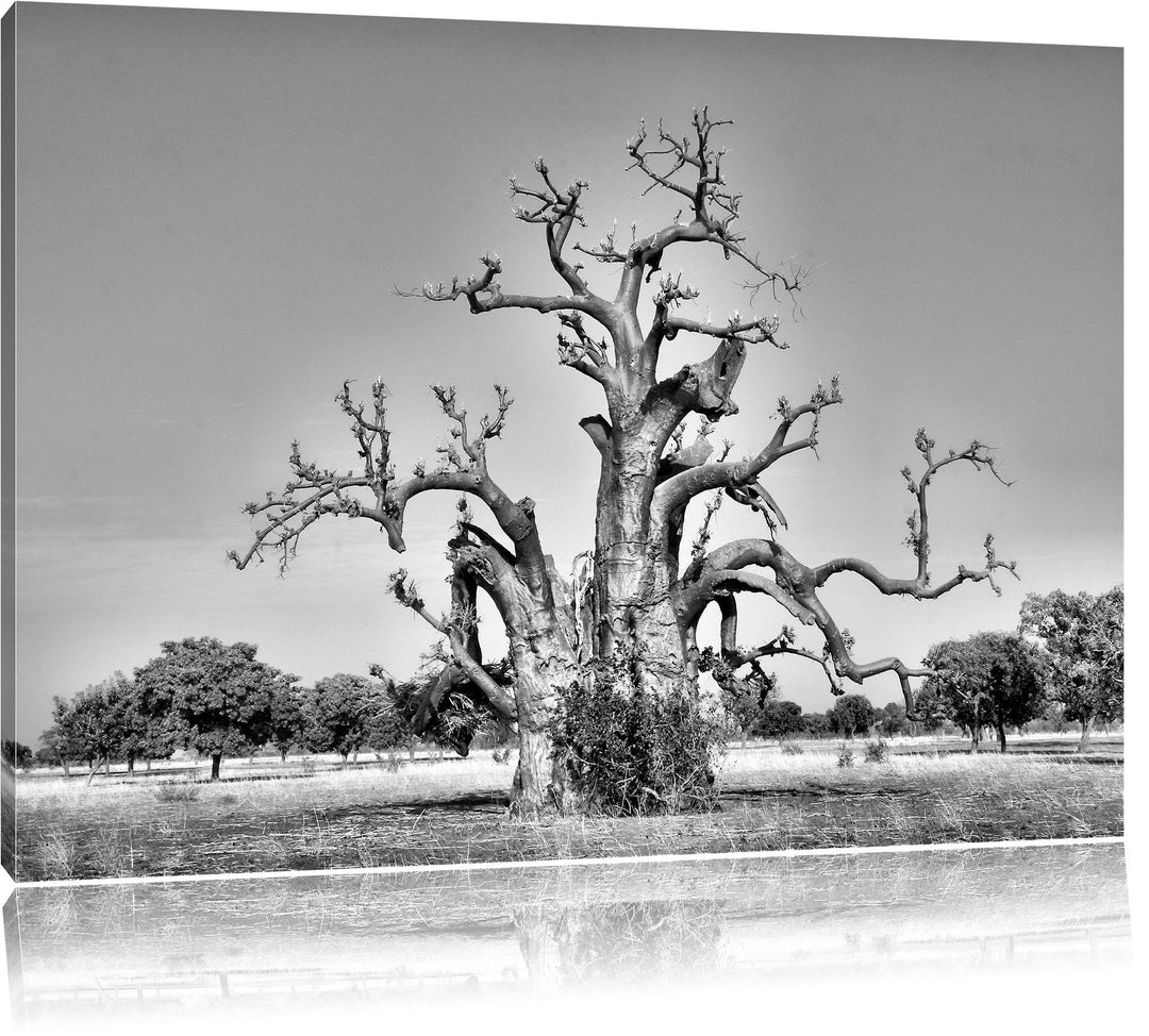 Pixxprint Monocrome, vertrockneter Baum in der Savanne, Format: 100x70 auf Leinwand, XXL riesige Bil