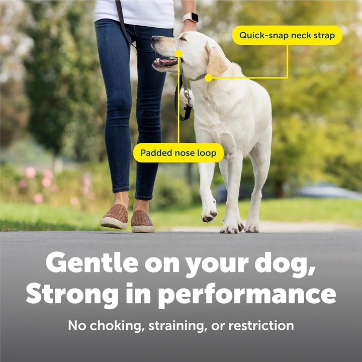 PetSafe Sanfter Führer Halsband mit Trainings-DVD schwarz Medium, schwarz Medium