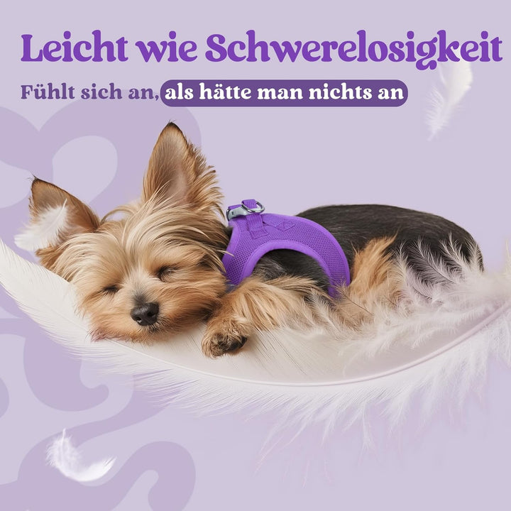 rabbitgoo Hundegeschirr Kleine Hunde, Step-in Welpengeschirr Weich Mesh für Spaziergänge, Atmungsakt