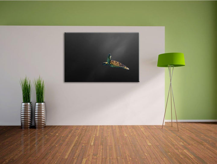 einsame Schildkröte im Meer schwarz/weiss Format: 100x70 auf Leinwand, XXL riesige Bilder fertig ger