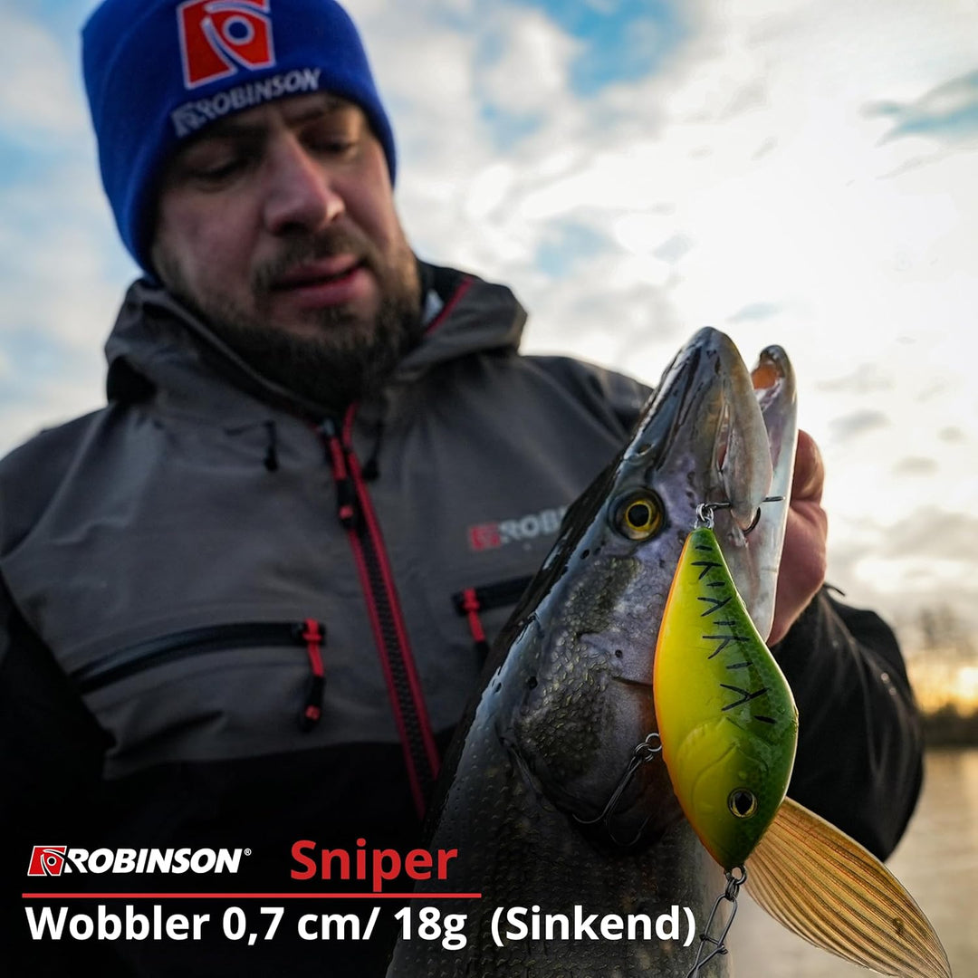 Robinson Angelköder für grosse Raubfische - Jerkbait Wobbler, Spinning und Trolling geeignet, DREI T