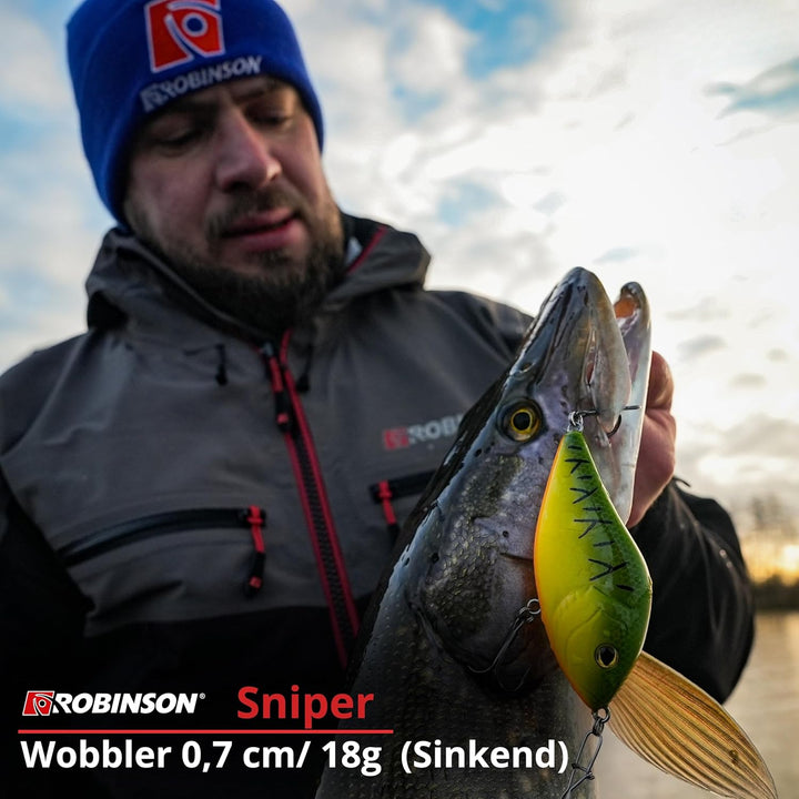Robinson Angelköder für grosse Raubfische - Jerkbait Wobbler, Spinning und Trolling geeignet, DREI T