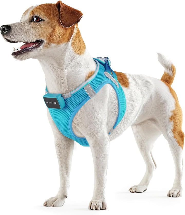 PcEoTllar Hundegeschirr Leuchtend, Leuchtgeschirr LED Aufladbar & Reflektierendes, Beleuchtetes Leuc