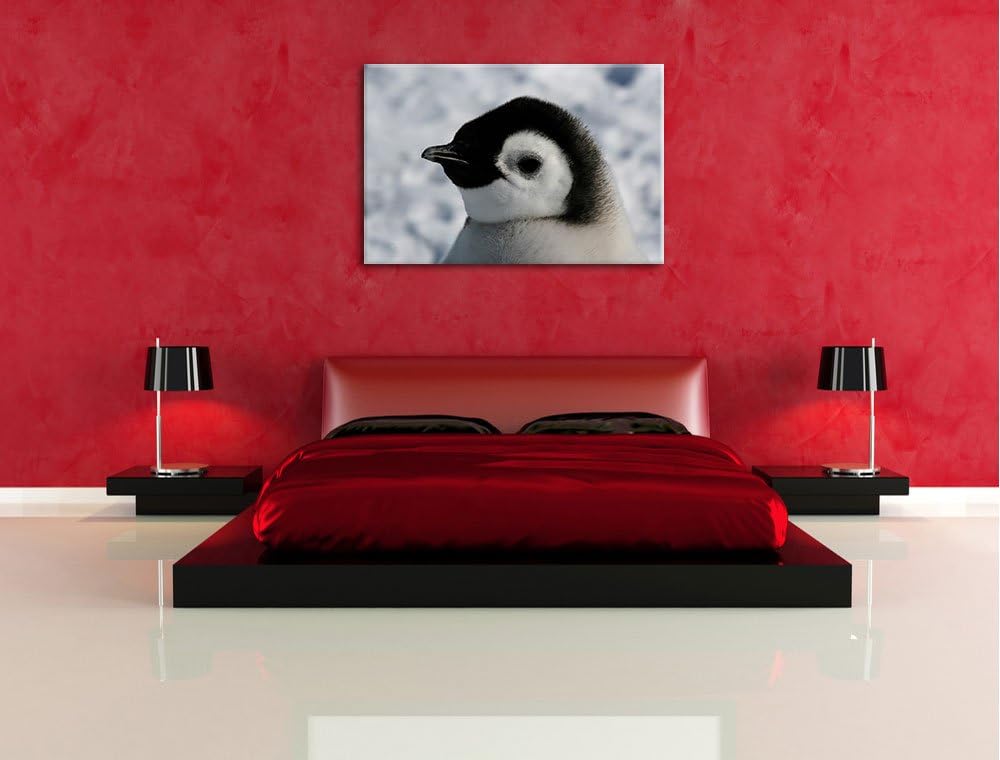 drei Kaiserpinguinküken Leinwand, XXL riesige Bilder fertig gerahmt mit Keilrahmen, Kunstdruck auf W