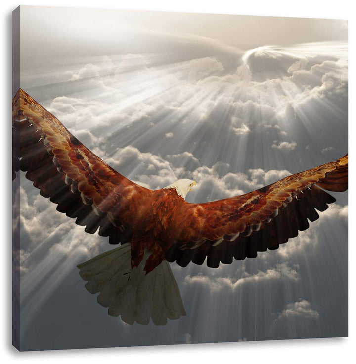 Adler über den Wolken, Format: 70x70 auf Leinwand, XXL riesige Bilder fertig gerahmt mit Keilrahmen,