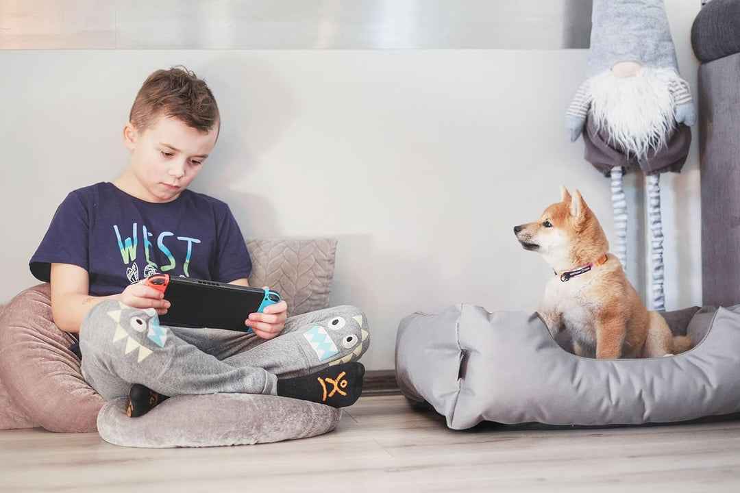 BedDog Hundebett LUPI, Hundekissen mit abziehbaren waschbaren Bezug, Hundekorb, Hundesofa, für klein