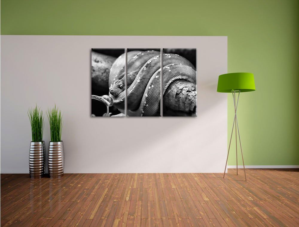 Pixxprint Grüne exotische Schlange als Leinwandbild/Grösse: 3 Teilig (120x80) cm/Wandbild/Kunstdruck
