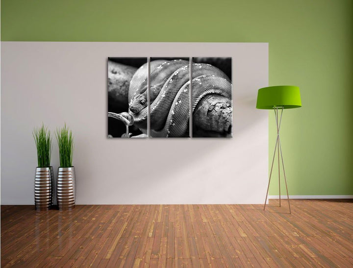 Pixxprint Grüne exotische Schlange als Leinwandbild/Grösse: 3 Teilig (120x80) cm/Wandbild/Kunstdruck