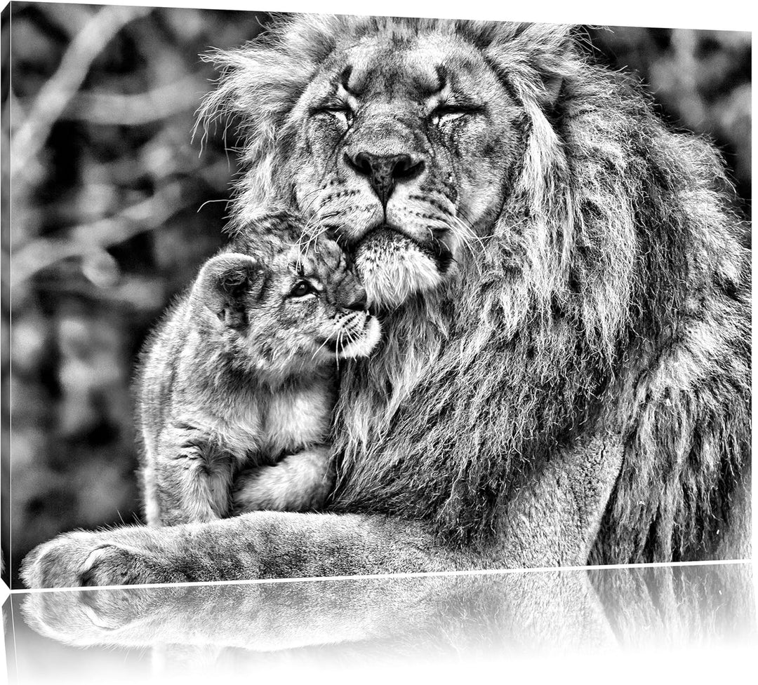Pixxprint Monocrome, Löwenvater kuschelt mit Jungtier, Format: 100x70 auf Leinwand, XXL riesige Bild