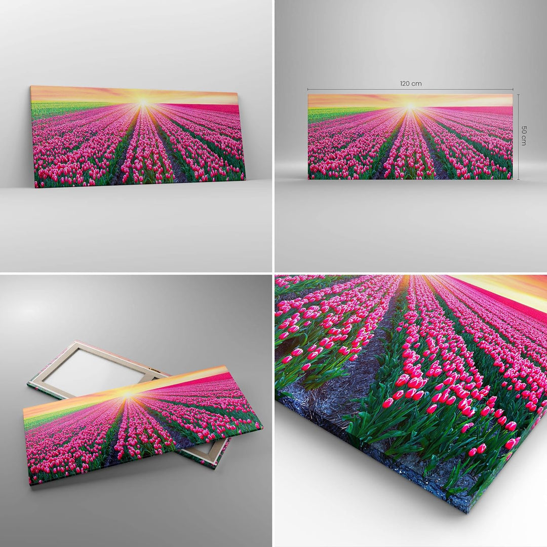 Wandbilder Dekoration Wohnzimmer Wiese Tulpen Sonnenuntergang Frühling Bilder auf Leinwand 120x50cm