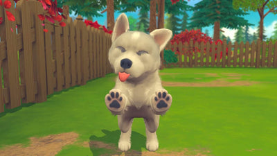 MICROIDS DISTRIBUTION FRAN My Universe Pets Edition SWI VF