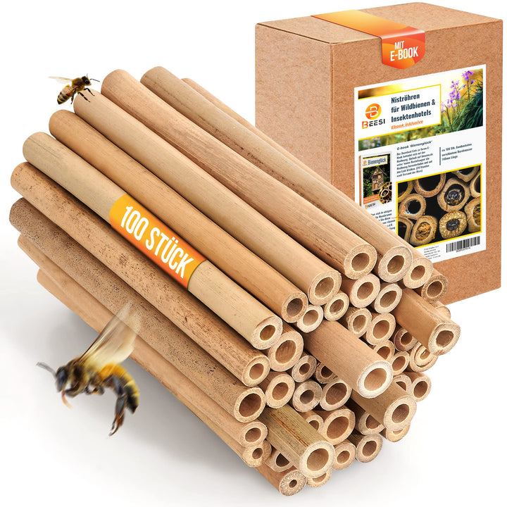 200x BEESI Nisthülsen Bambus für Bienenhotel I 14 cm Länge I Bambusrohr für Insektenhotel I Füllmate