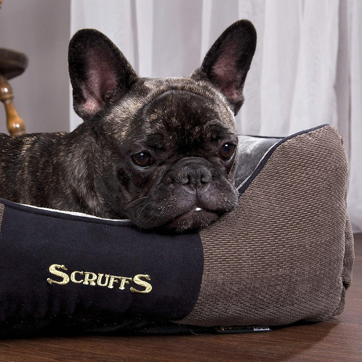 Scruffs M Chester Box Bett Graphite-Medium, Grau, M 60 x 50 cm Grau M 60 x 50 cm, Grau M 60 x 50 cm