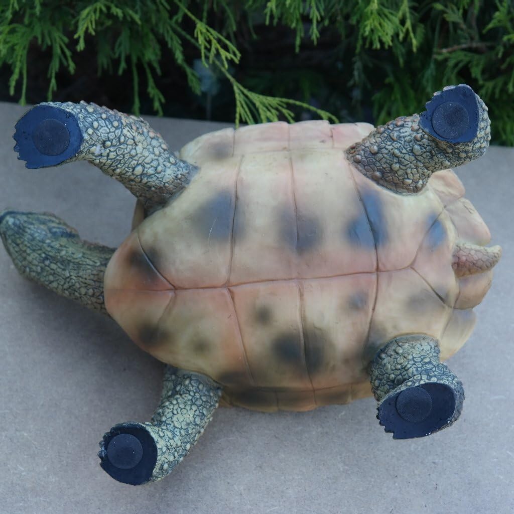 FDSt Dekofigur Schildkröte Tierfigur Gartenfigur wetterfest