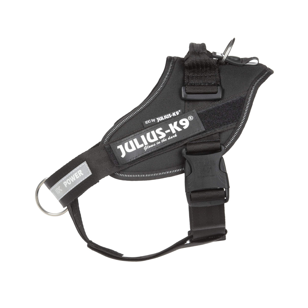 Julius-K9 16IDC-PBGHS-0 IDC Powergeschirr, Hundegeschirr mit Front Control Y-Gurt, Grösse M/0, Schwa