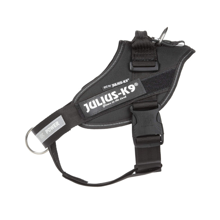 Julius-K9 16IDC-PBGHS-0 IDC Powergeschirr, Hundegeschirr mit Front Control Y-Gurt, Grösse M/0, Schwa