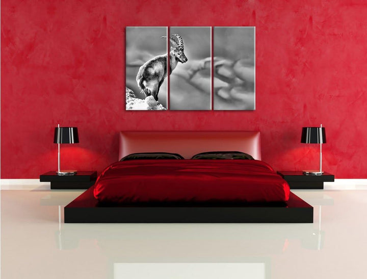 Pixxprint Steinbock im Schnee als Leinwandbild/Grösse: 3 Teilig (120x80) cm/Wandbild/Kunstdruck/fert