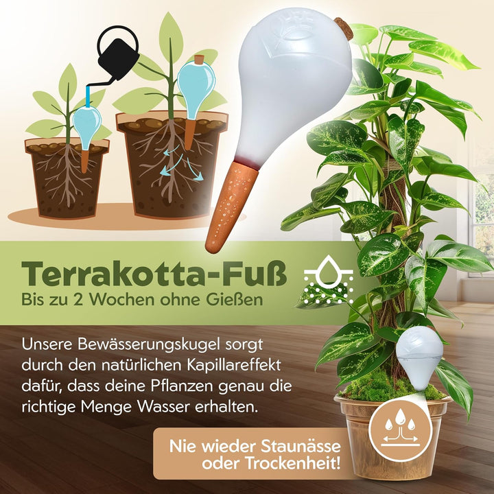 Bewässerungskugeln - XL (400 ml) - automatische Pflanzen Bewässerung - Wasserspender Pflanzen - Tonk