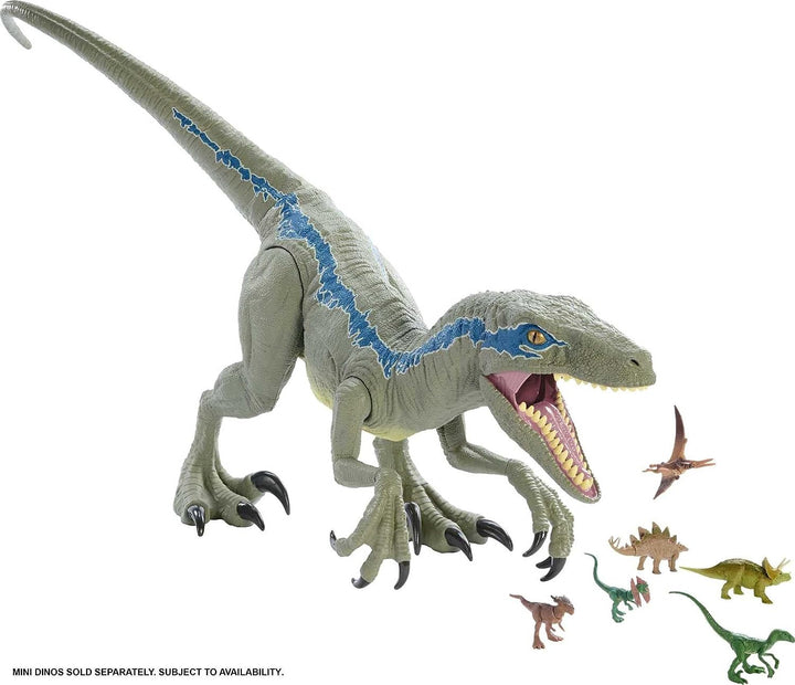 Jurassic World GCT93 - Riesendino Velociraptor Blue, (45 cm hoch, 106 cm lang), realistische Optik,