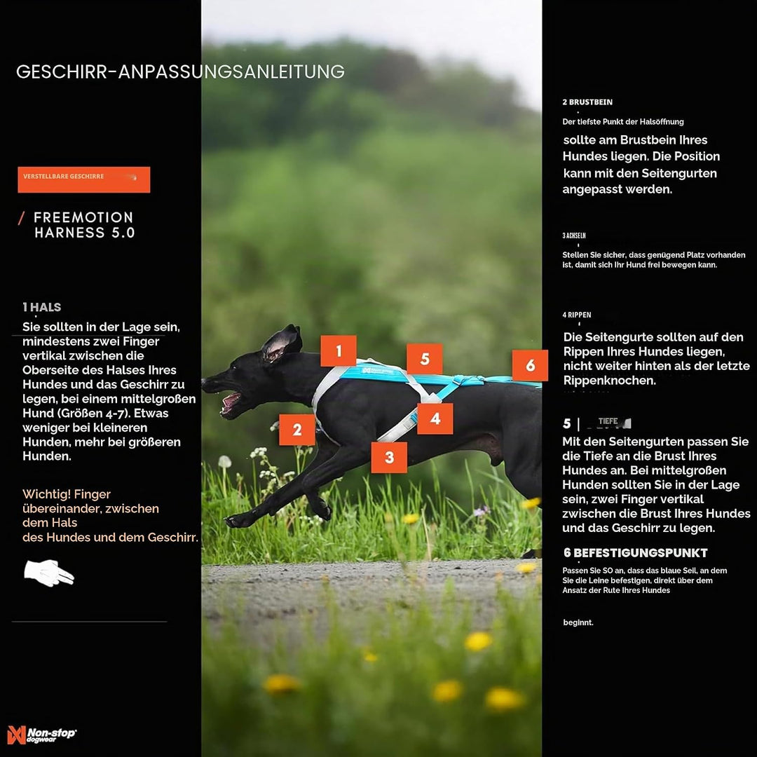 Non-stop dogwear FREEMOTION Harness 5.0 |111| Hundegeschirr für alle Sportarten, Grösse:5, 5