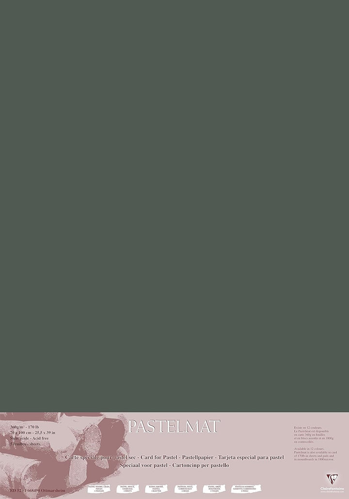 Clairefontaine 296009C Packung (mit 5 Zeichenbögen Pastelmat, 70 x 100 cm, 360 g, ideal für Trockent