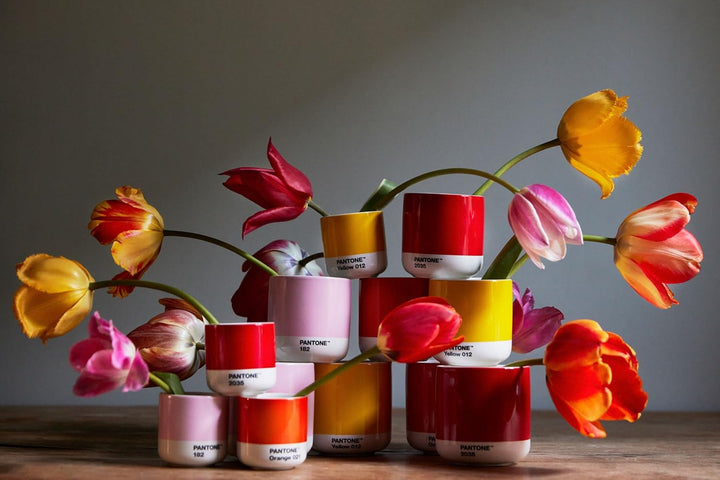 PANTONE Porzellan Latte Macchiato Thermobecher, 220ml, 4er-Set: Warm Gray 2 C, Cool Gray 2 C, Brown