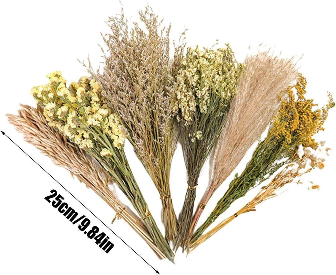 Hamster-Blumeneinstreu, Kleintier-Blumen, Lebensraum-Dekoration, Mäuse, Lebensraum, Dekoration, natü