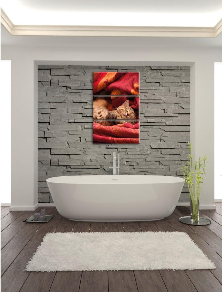 Pixxprint Babykatze als Leinwandbild/Grösse: 3 Teilig (120x80) cm/Wandbild/Kunstdruck/fertig bespann