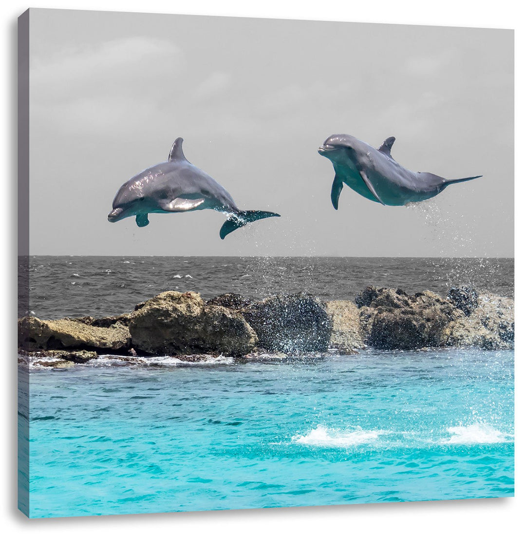 Pixxprint Zwei hoch springende Delphine als Leinwandbild Quadratisch/Grösse: 70x70 / Wandbild/Kunstd